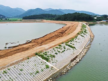 安慶菜子湖國家濕地公園生態(tài)護(hù)堤